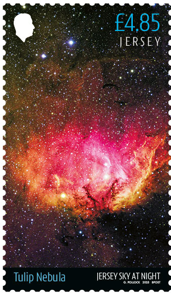 Jersey Sky at Night - Tulip Nebula