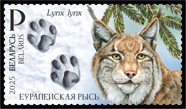 Eurasian lynx