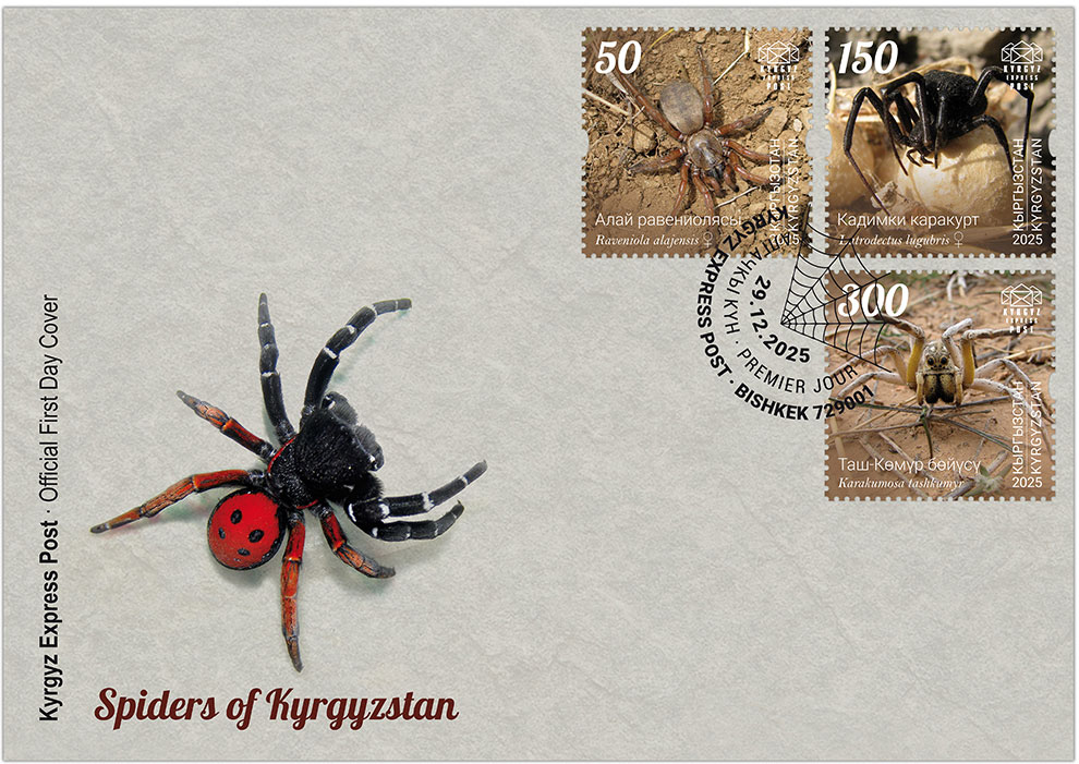 Spiders of Kyrgyzstan